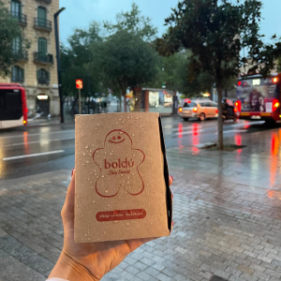 boldu_671781b88471a.png