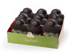 9box Dubai Chocolate